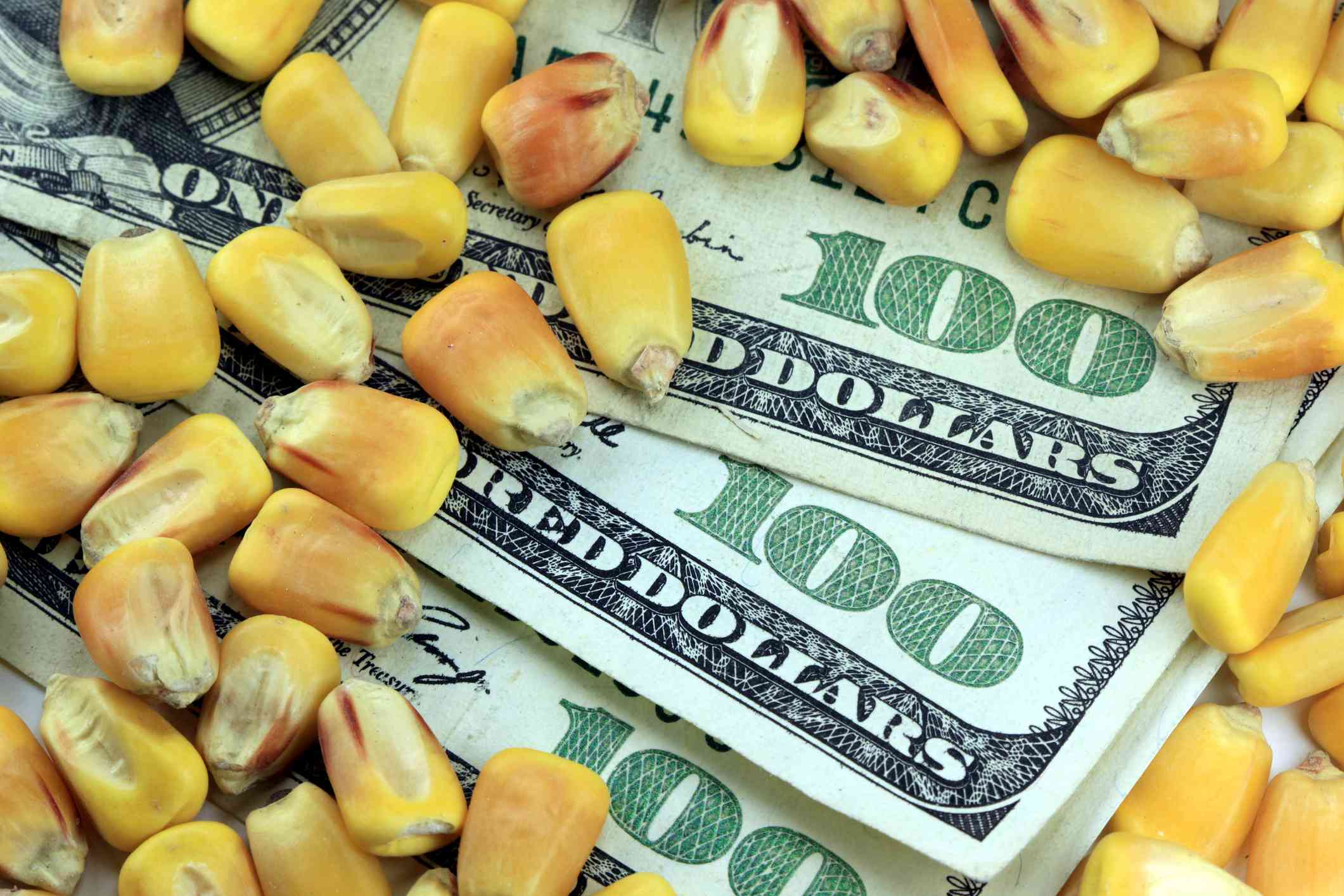 Fungible goods examples: Dollars bills and No. 2 corn.