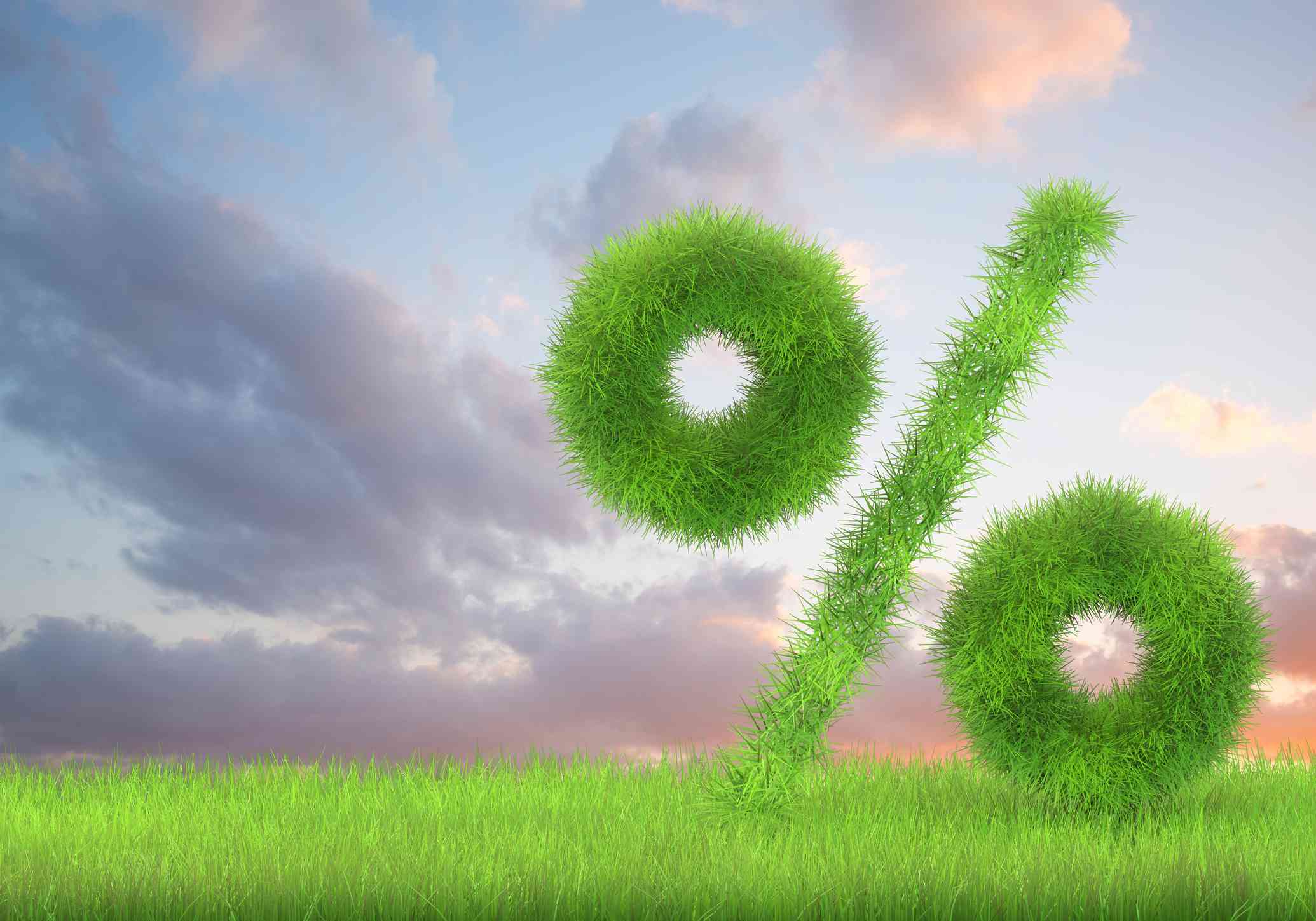A percentage sign made of grass on a cloudy backdrop
